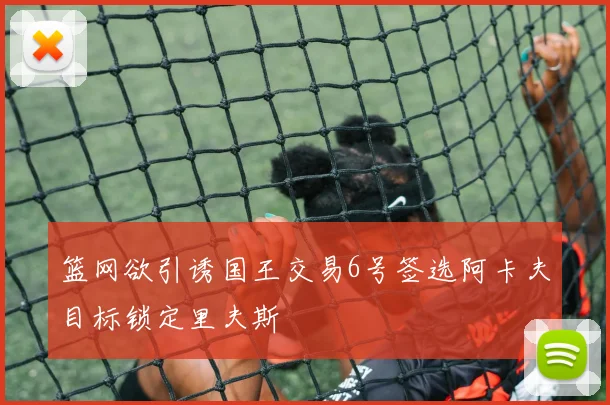 篮网欲引诱国王交易6号签选阿卡夫目标锁定里夫斯